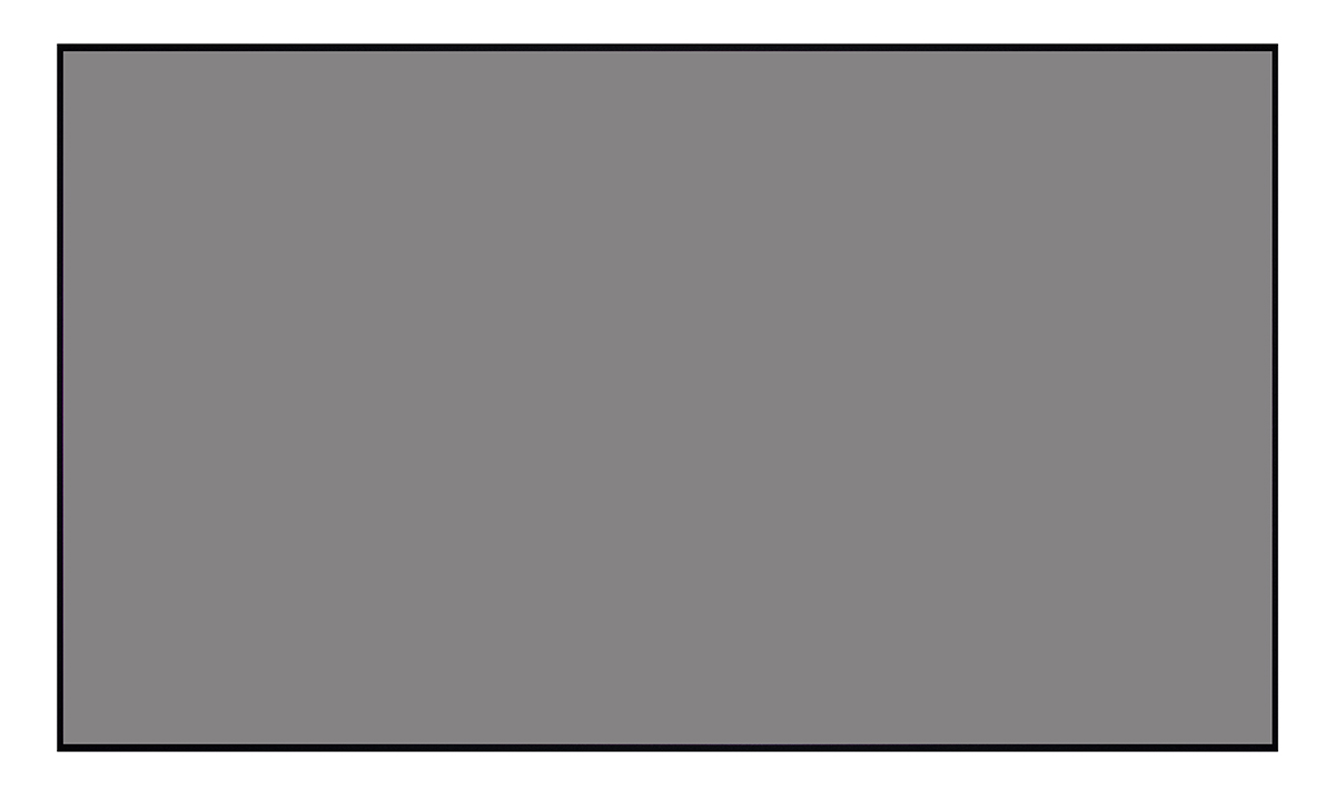 [LCTB-100207] Экран Lumien Cinema Thin Bezel